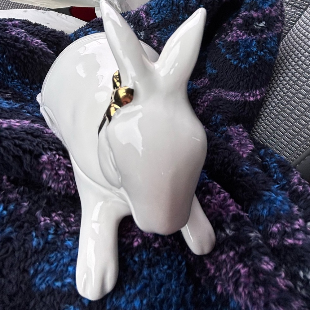 Bunny Butter dish.   Rabbit butter dish.  New - Picture 6 of 9